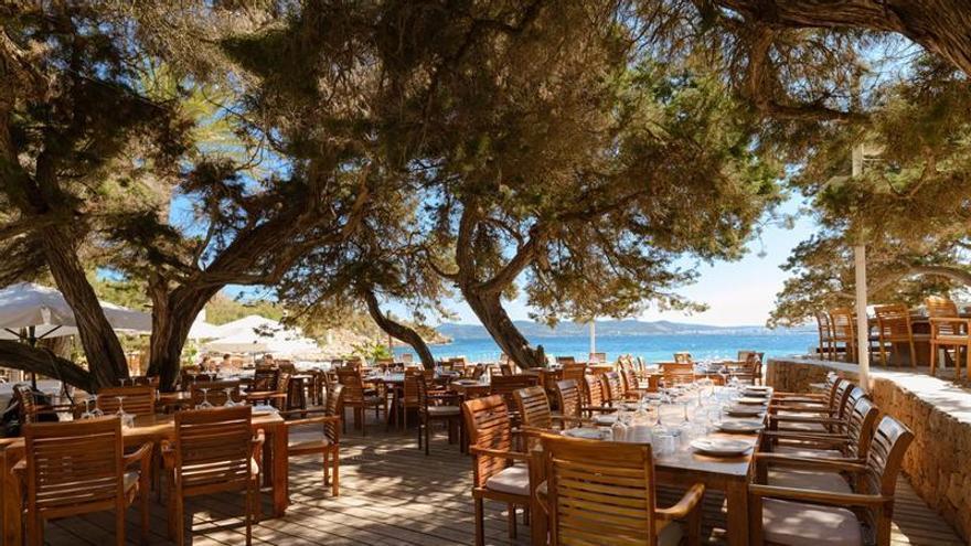 Linguini con bogavante y hamburguesa premium en la oferta del área CBbC Central de Cala Bassa Beach Club, que abre temporada en Ibiza