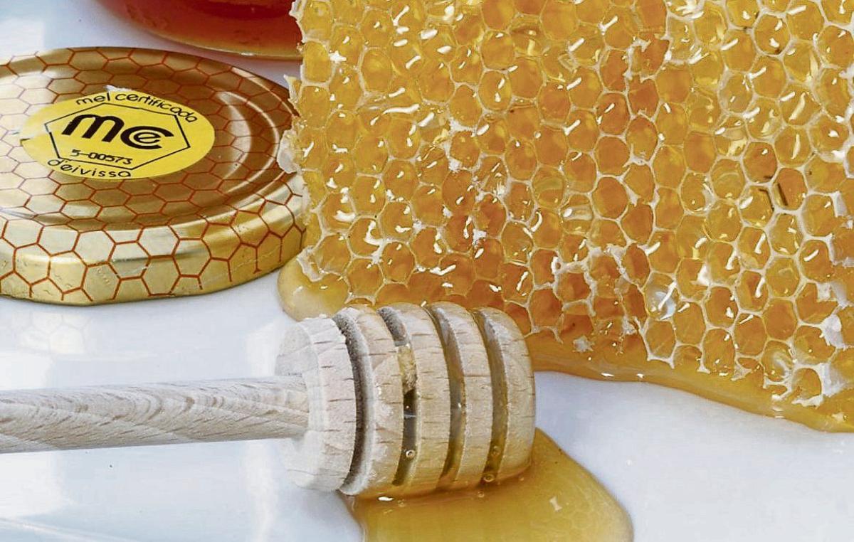 Olive oil with PGI status | VICENT MARÍ