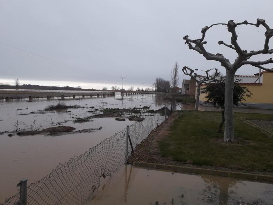 Los ríos se desbordan a su paso por Benavente