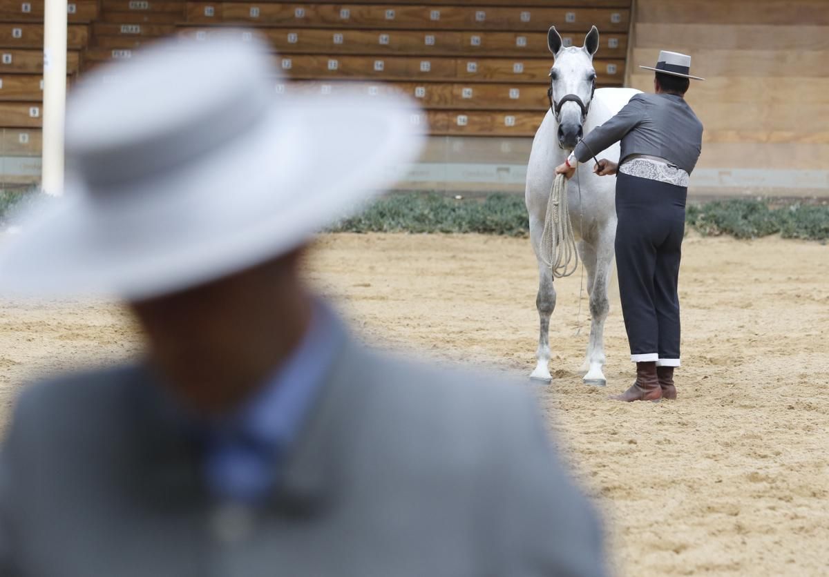 Calbalcor abre sus puertas