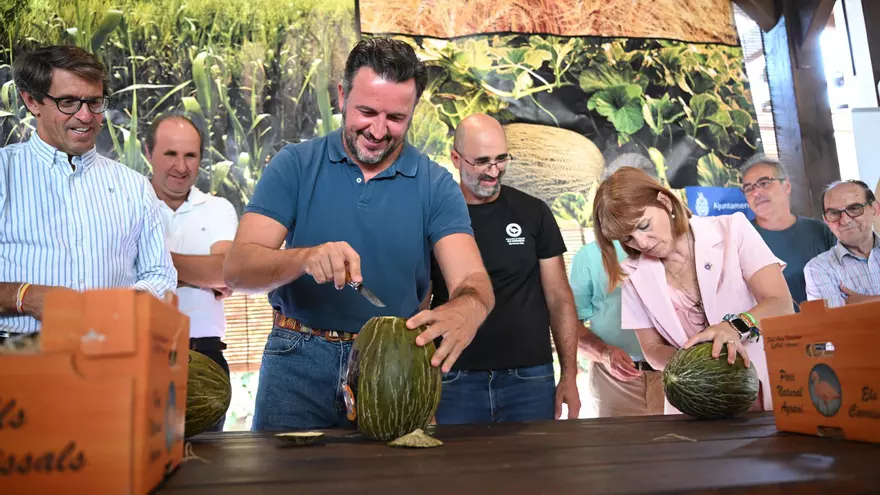 Arranca la campaña de Melón de Carrizal de Elche
