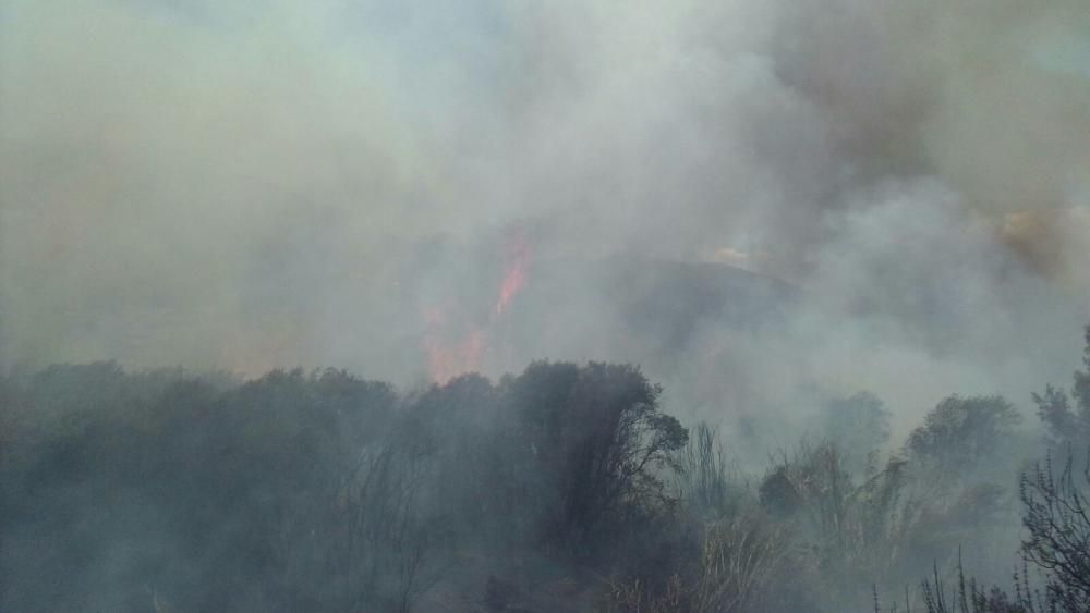 Un incendio forestal en Parcent obliga a desalojar una decena de viviendas