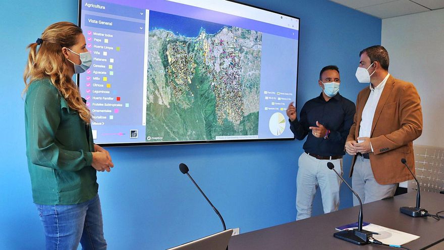 The avocado is approaching the extension of vineyards and banana trees in the municipality
