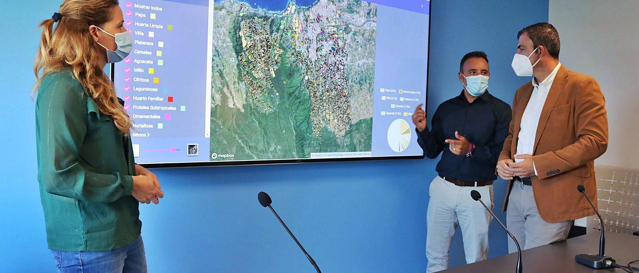 La arquitecta Sara Martín junto al mapa de cultivos, el edil de Agricultura, Alexis Hernández, y el alcalde realejero, Manuel Domínguez, ayer.