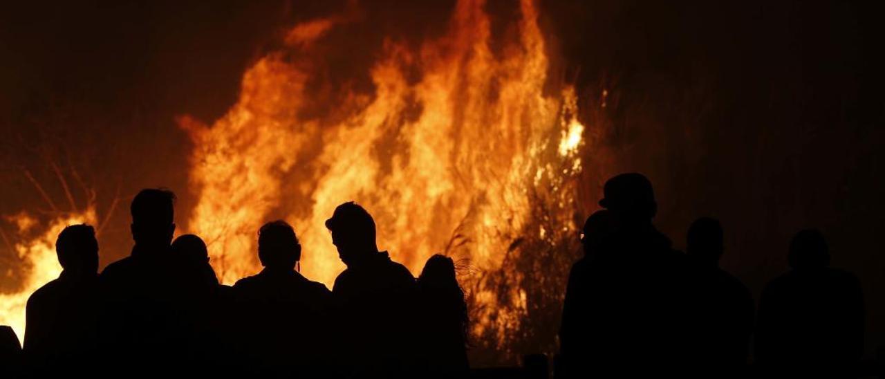 Las llamas afectan un lecho del río Xúquer a su paso por Alzira en un reciente incendio.