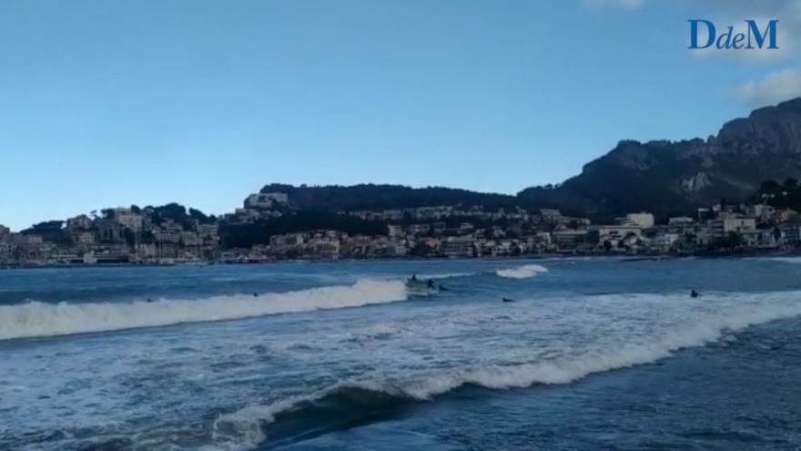 Alerta por fenómenos costeros en Mallorca: Jóvenes aprovechan las olas para  practicar surf en el Port de Sóller - Diario de Mallorca