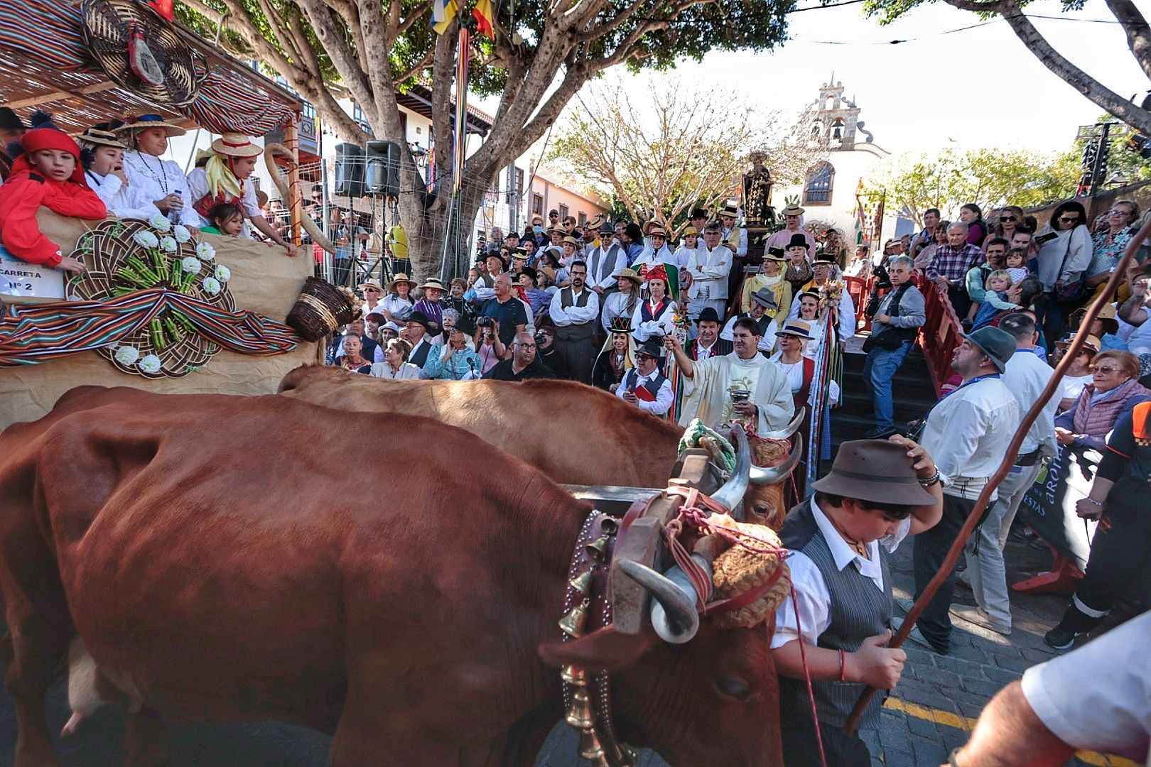 Romería San Antonio Abad en Arona