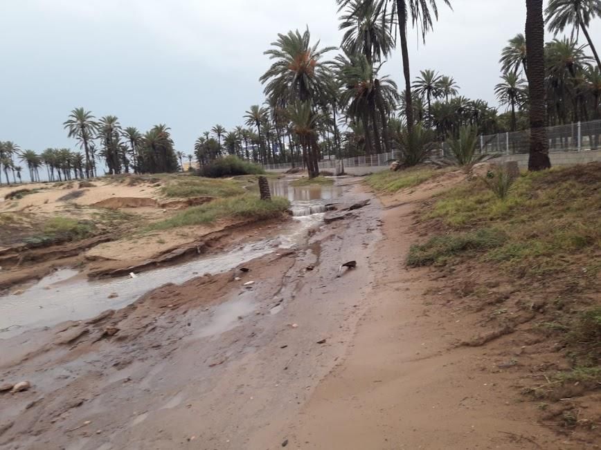 Salvemos Lo Ferrís asegura que le muro en la propiedad privada multiplicó los efectos de las precipitaciones al acumular el agua