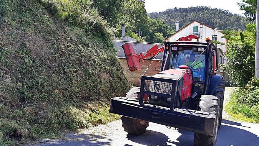 Los trabajos de desbroce arrancaron en Ardán. |  // FDV