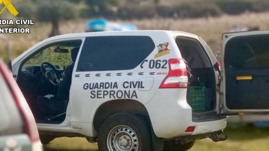 Subdelegación niega la supresión de unidades del Seprona en Castellón