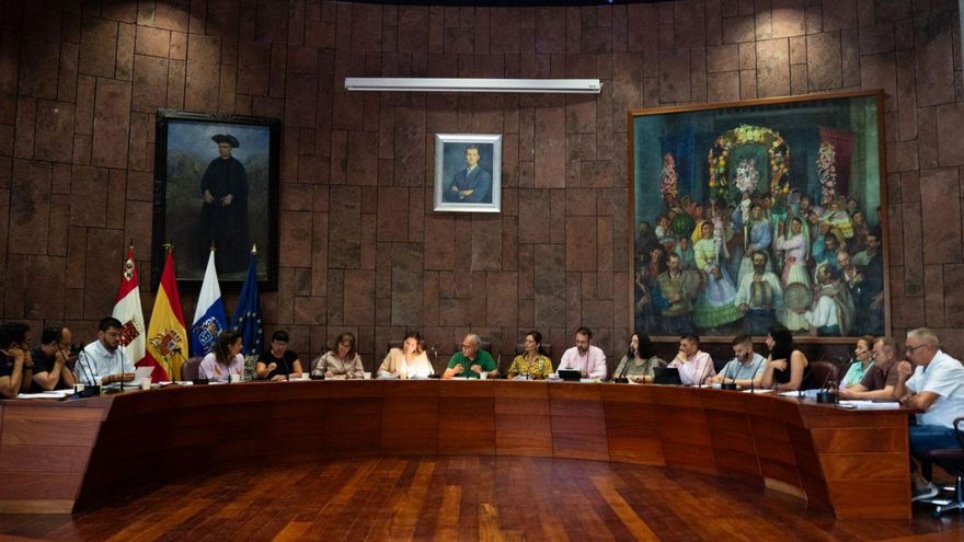 Un momento del pleno del Cabildo insular de La Gomera. |