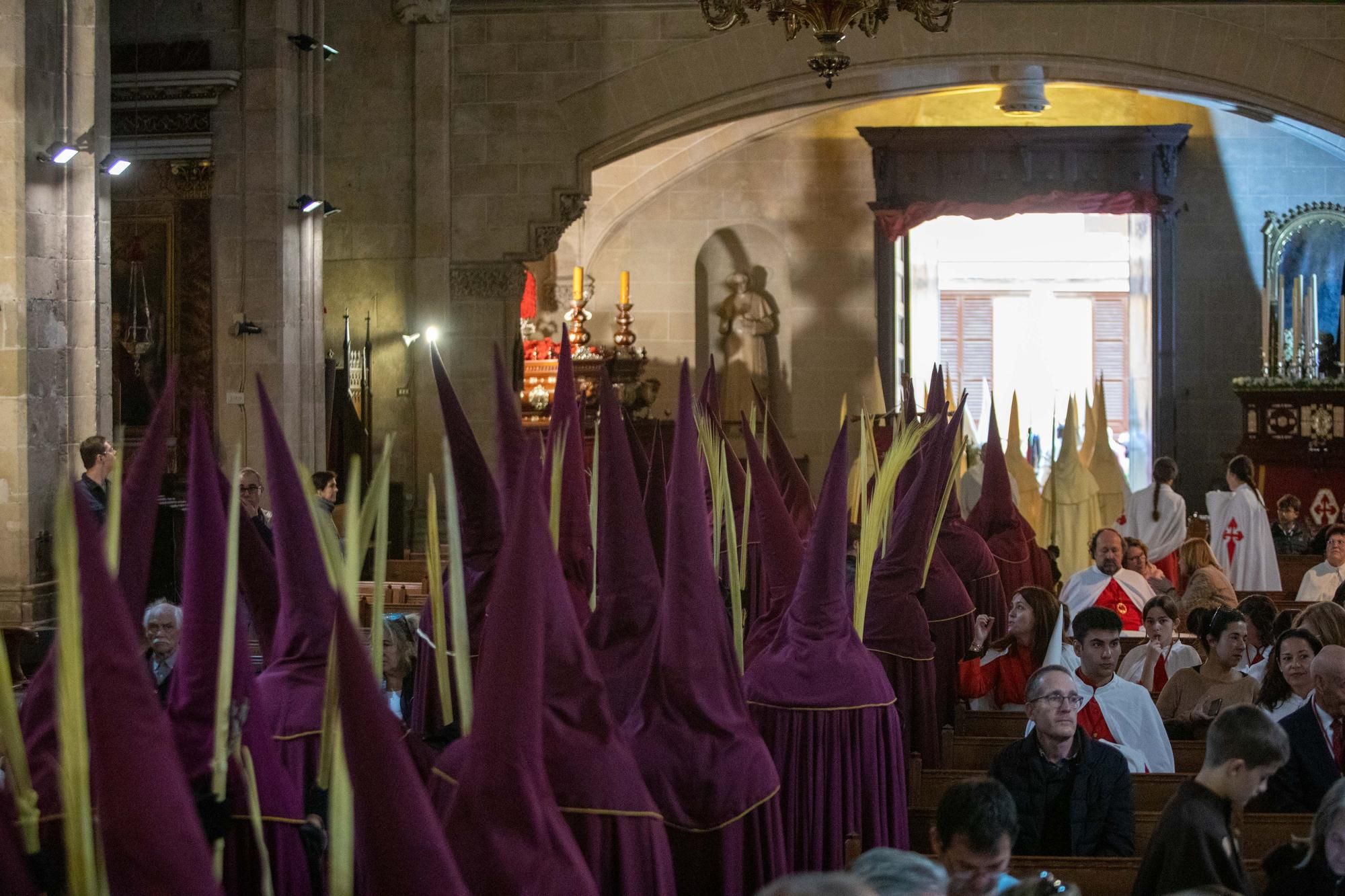 So eindrucksvoll waren die Prozessionen am Palmsonntag in Palma de Mallorca