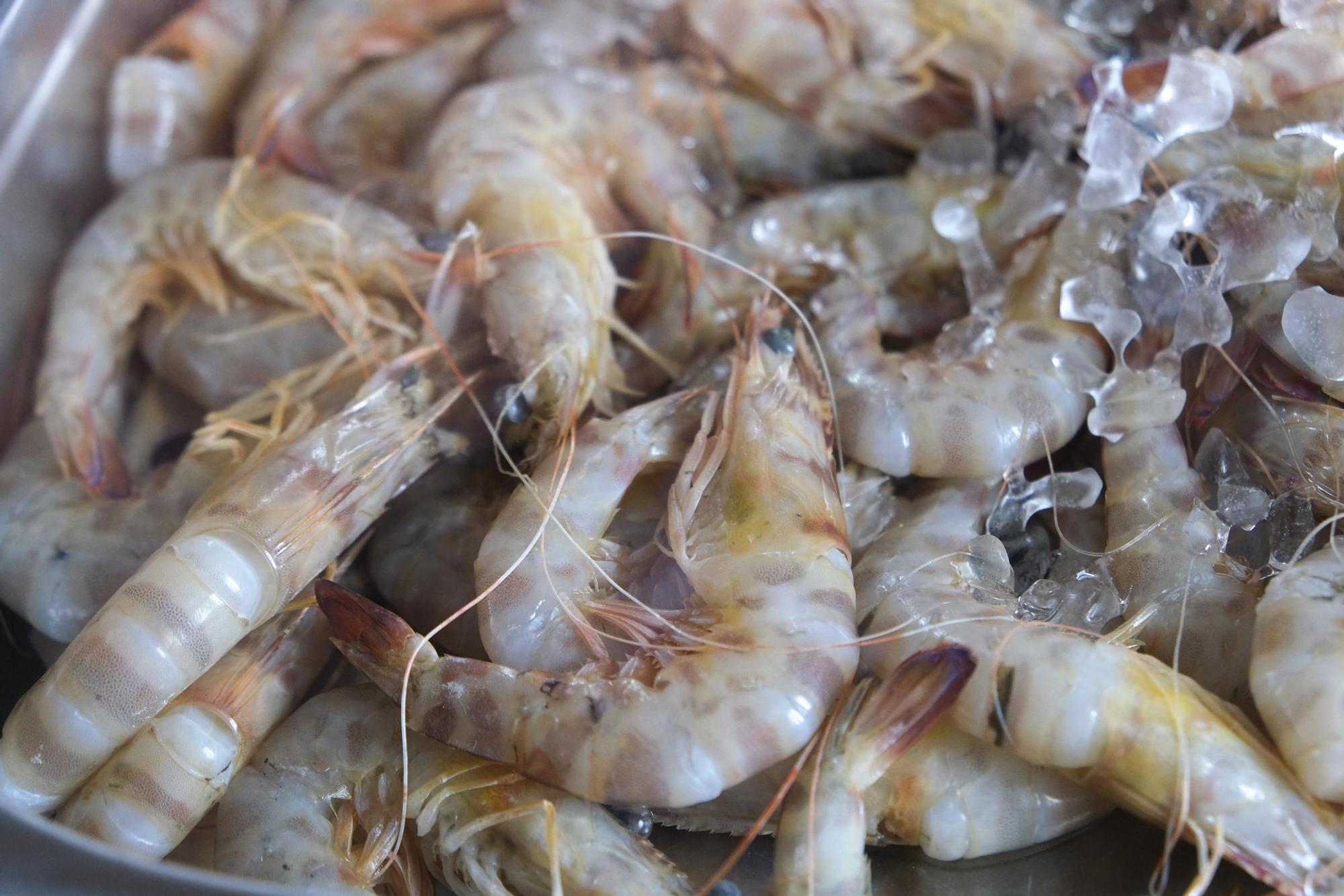 Menjars de la Terra se estrena en la Vega Baja en el Restaurante La Galería de La Mirada de La Zenia