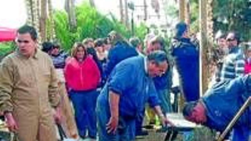 El Paraíso celebra su matanza este sábado tras parar en 2009