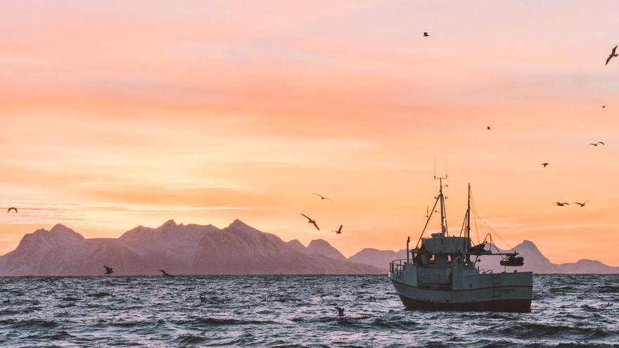 Al 94% de los españoles les gusta el pescado pero solo el 23% lo incluye en su dieta de forma habitual