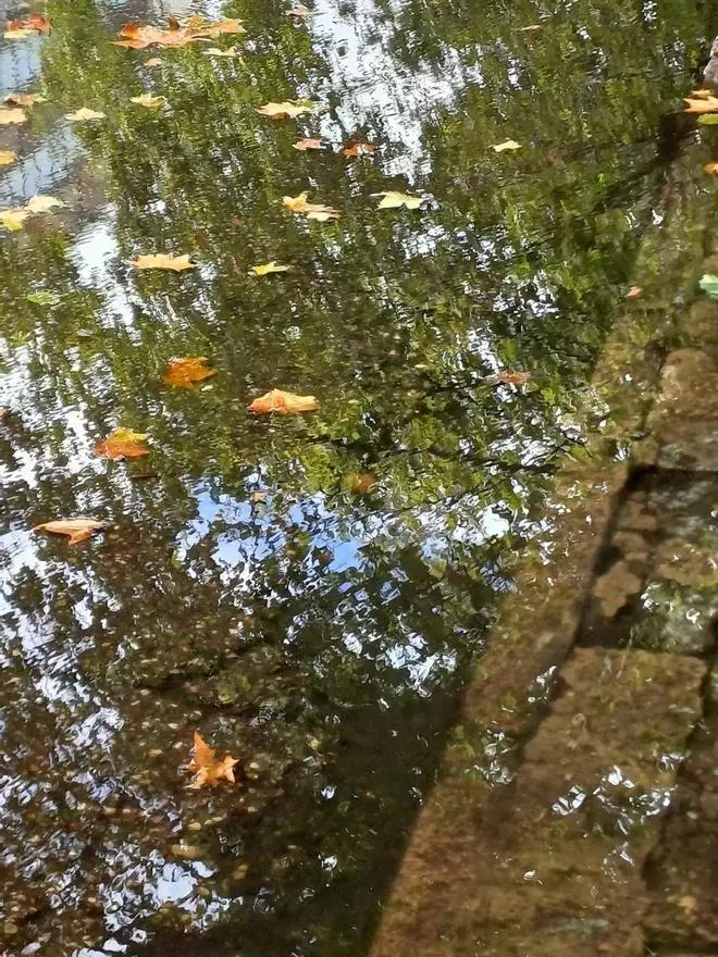 Primeras lluvias
