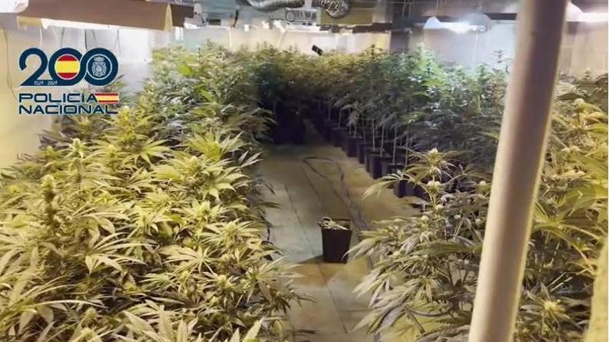 Diez detenidos en una operación antidroga en Manacor