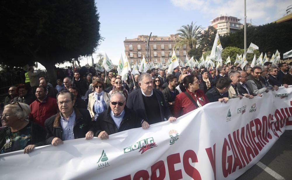 Así ha sido la manifestación de los agricultores en Murcia (II)