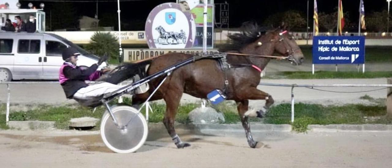 Vipiteno, en su triunfo en el &#039;Premi Nadal&#039; en Manacor