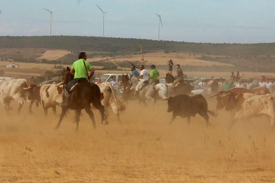 Fiestas en Zamora: Espantos en Carbajales