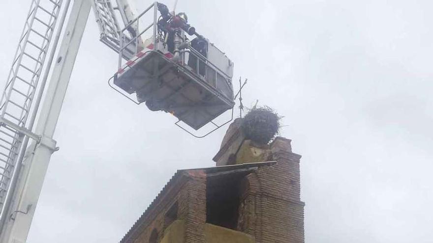 Los bomberos proceden a recoger las aves del nido.