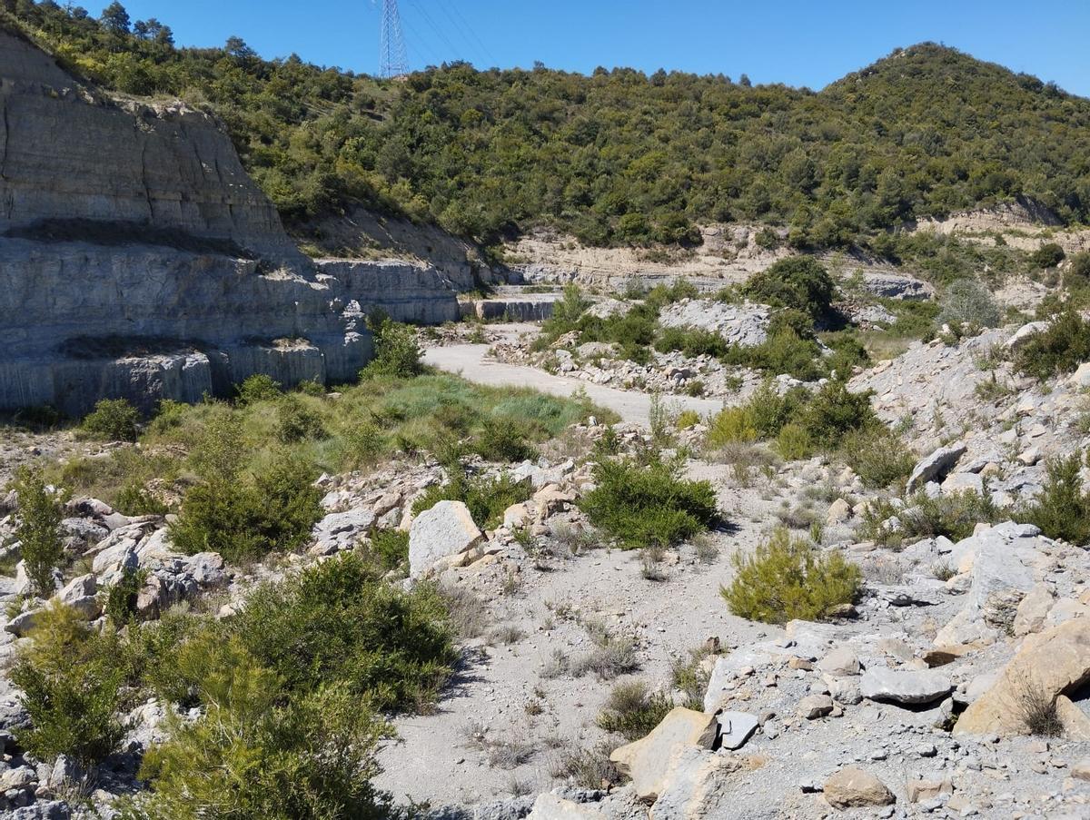 Pedrera del Roure de Sant Vicenç, on ja es farà una intervenció pilot