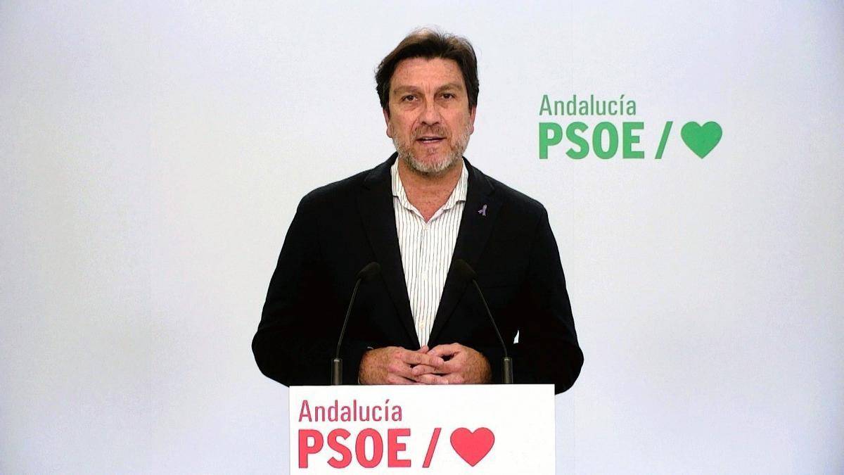 El portavoz del PSOE en la Comisión de Industria del Parlamento, Enrique Gaviño.