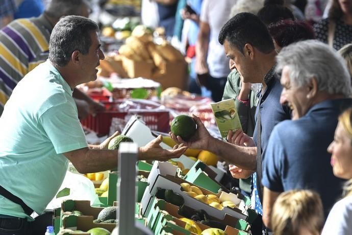 III FERIA DEL AGUACATE