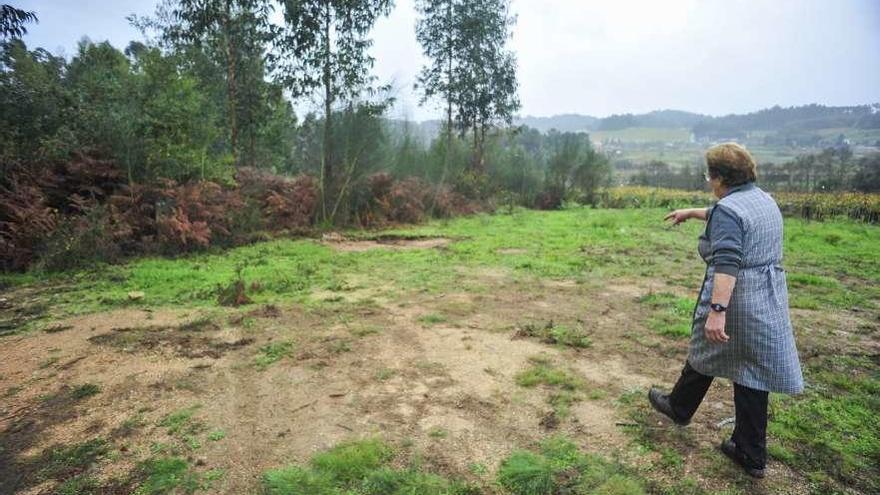 Una mujer señala la zona donde apareció un caballo muerto tras el ataque de lobos, en Mosteiro. // I.Abella