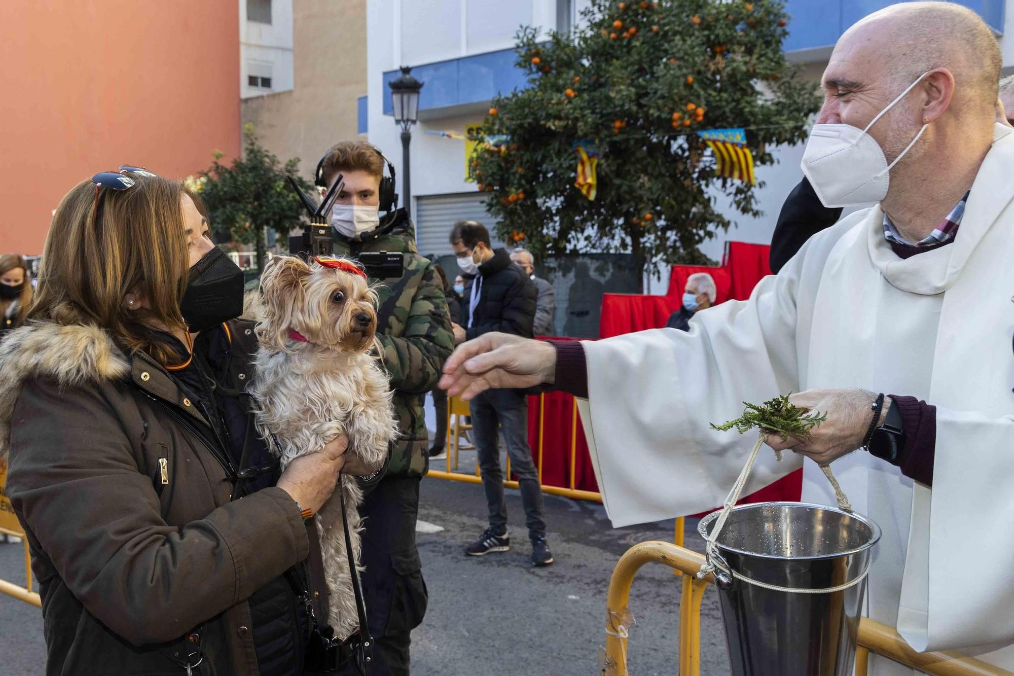 Búscate en la bendición de animales de Sant Antoni