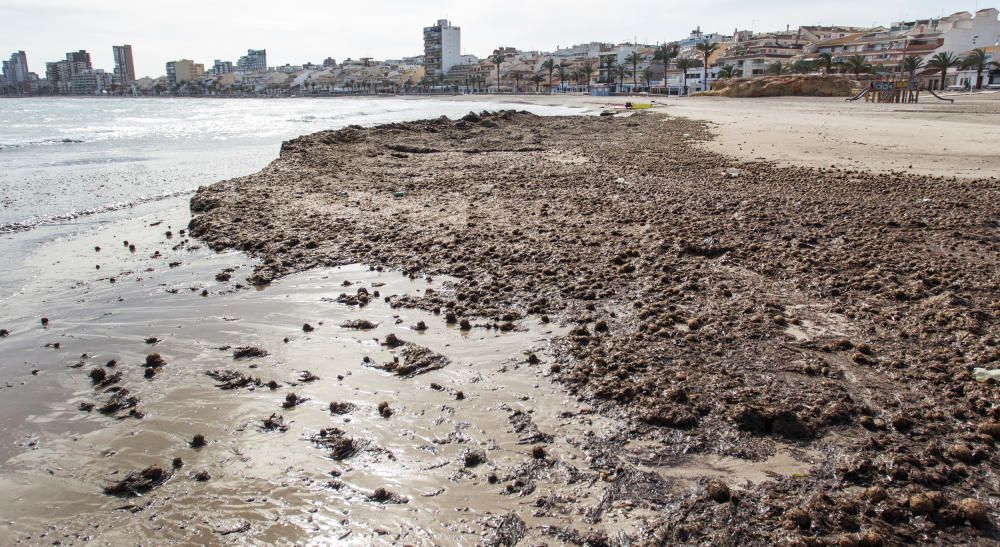 Así están las playas tras la gota fría