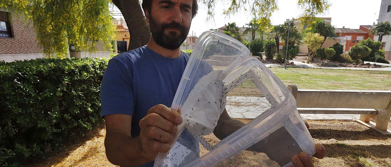 Un operario de Tragsa en una suelta de mosquitos estériles en un parque de Polinyà, en una imagen de archivo. | V. M. PASTOR