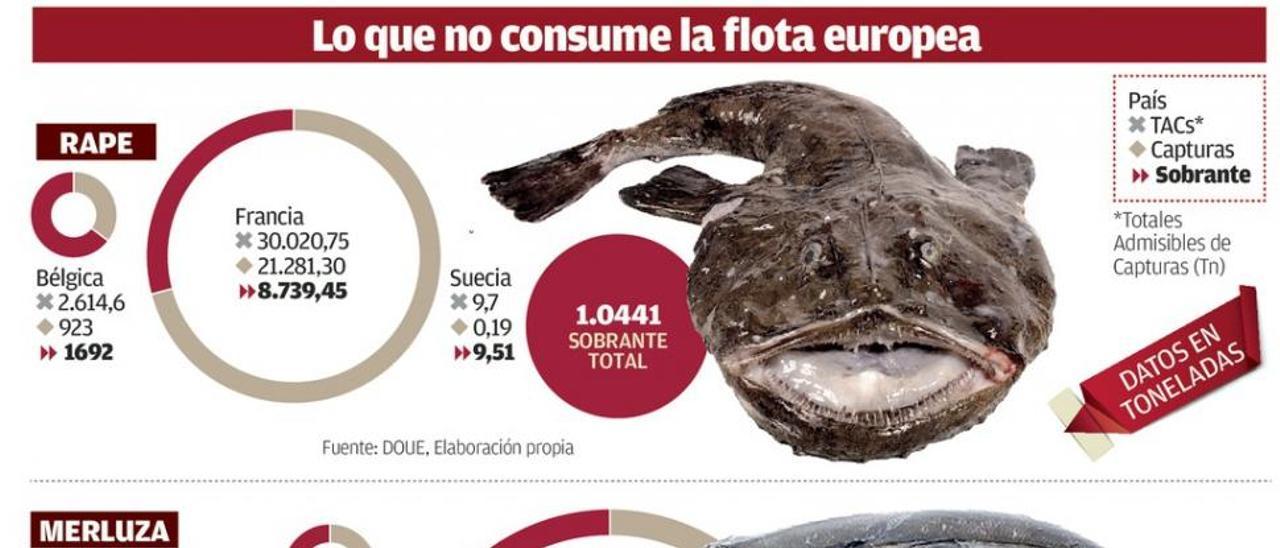 Los países con más permisos de pesca de la UE dejan cuotas sin gastar por 475 millones