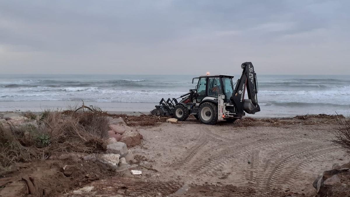 Alboraia ha comenzado las labores de limpieza de la playa sur de Port Saplaya.