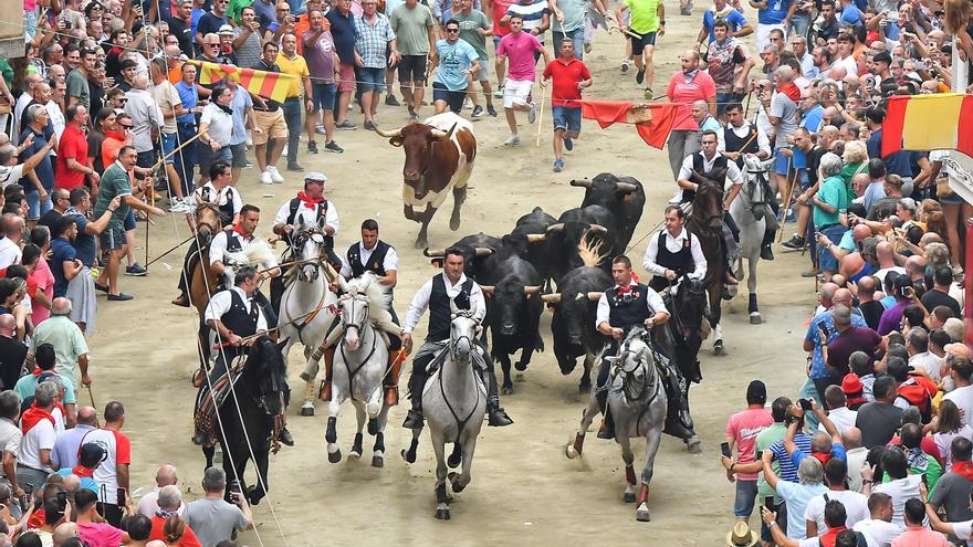 La quinta Entrada de Toros y Caballos de Segorbe, en imágenes