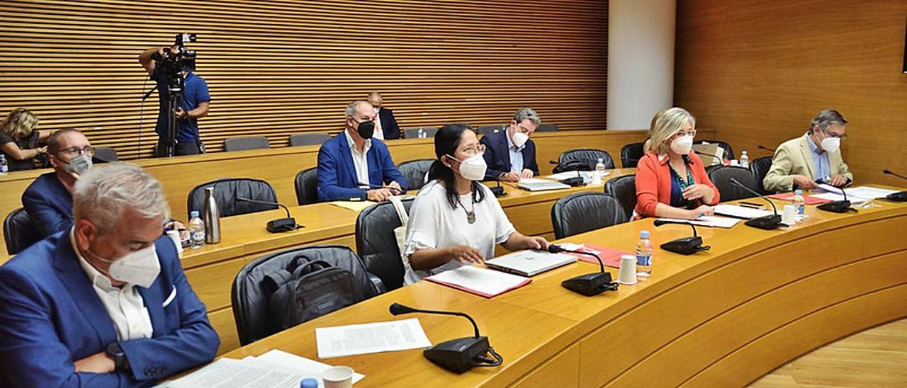 Los diputados Silverio Tena, Irene Gómez, Mamen Peris y José Antonio Rovira, en primera fila. | I.CABALLER