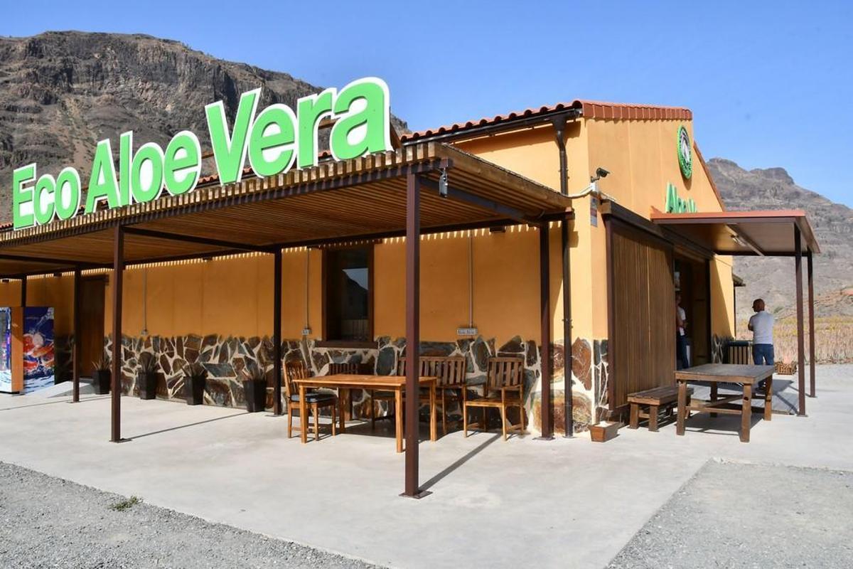 Un reino de aloe vera - Gran Canaria