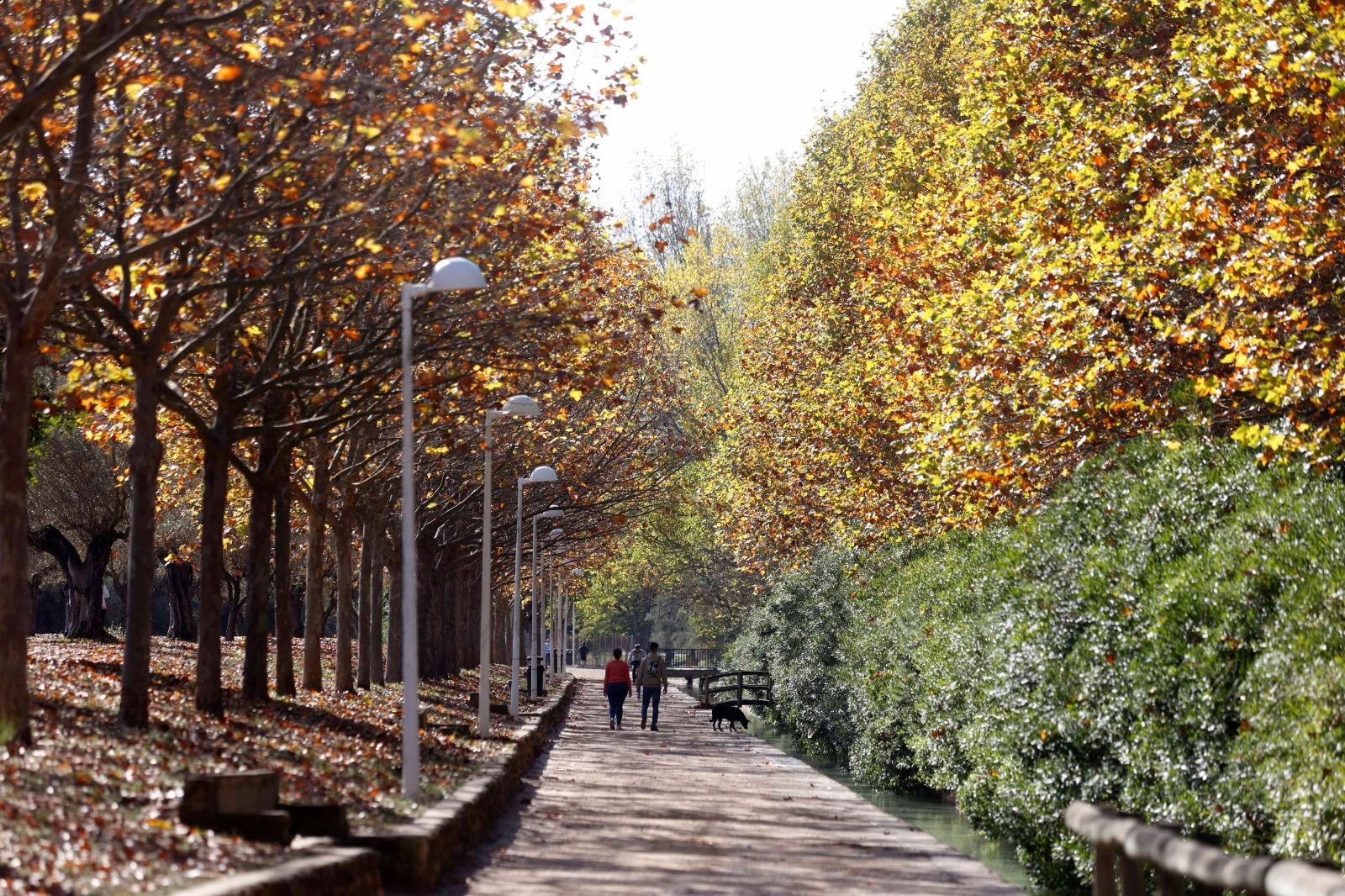 Parque de San Vicente, Lliria con colores otoñales.