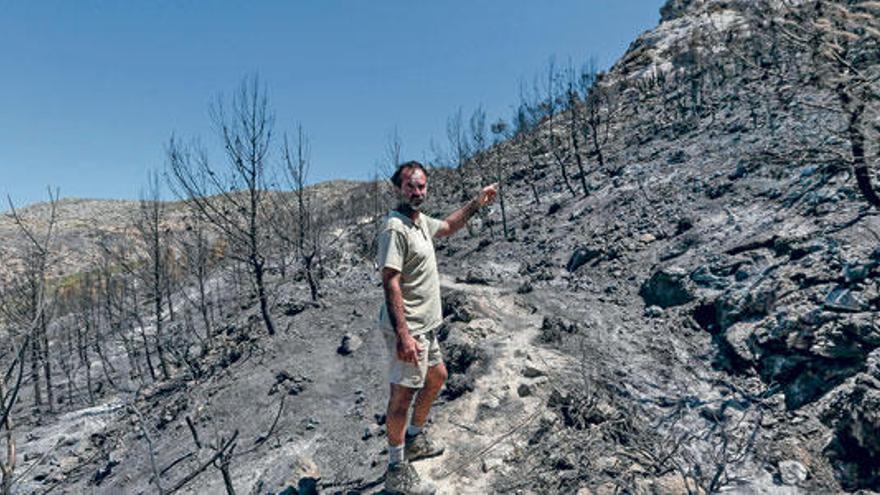 Así quedó la emblemática finca de la Trapa (Andratx), después del devastador incendio del pasado verano.