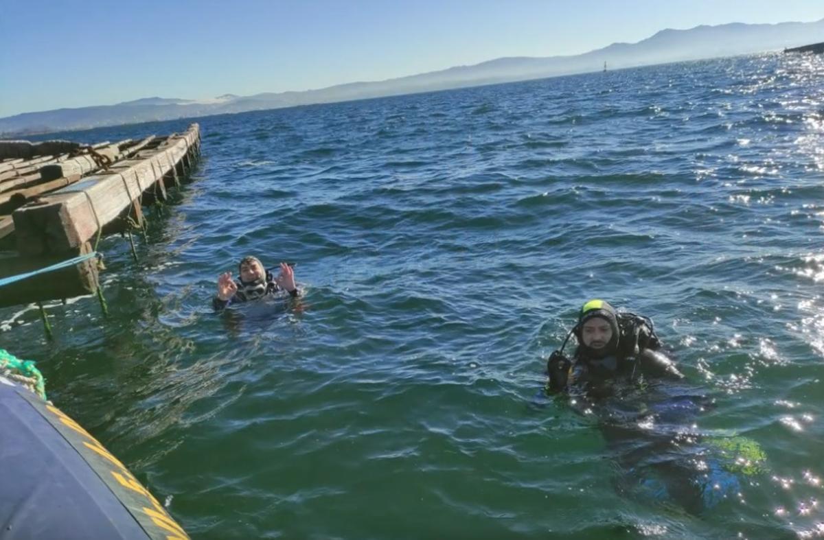 Los buceadores al lado de una batea en la ría de Vigo.