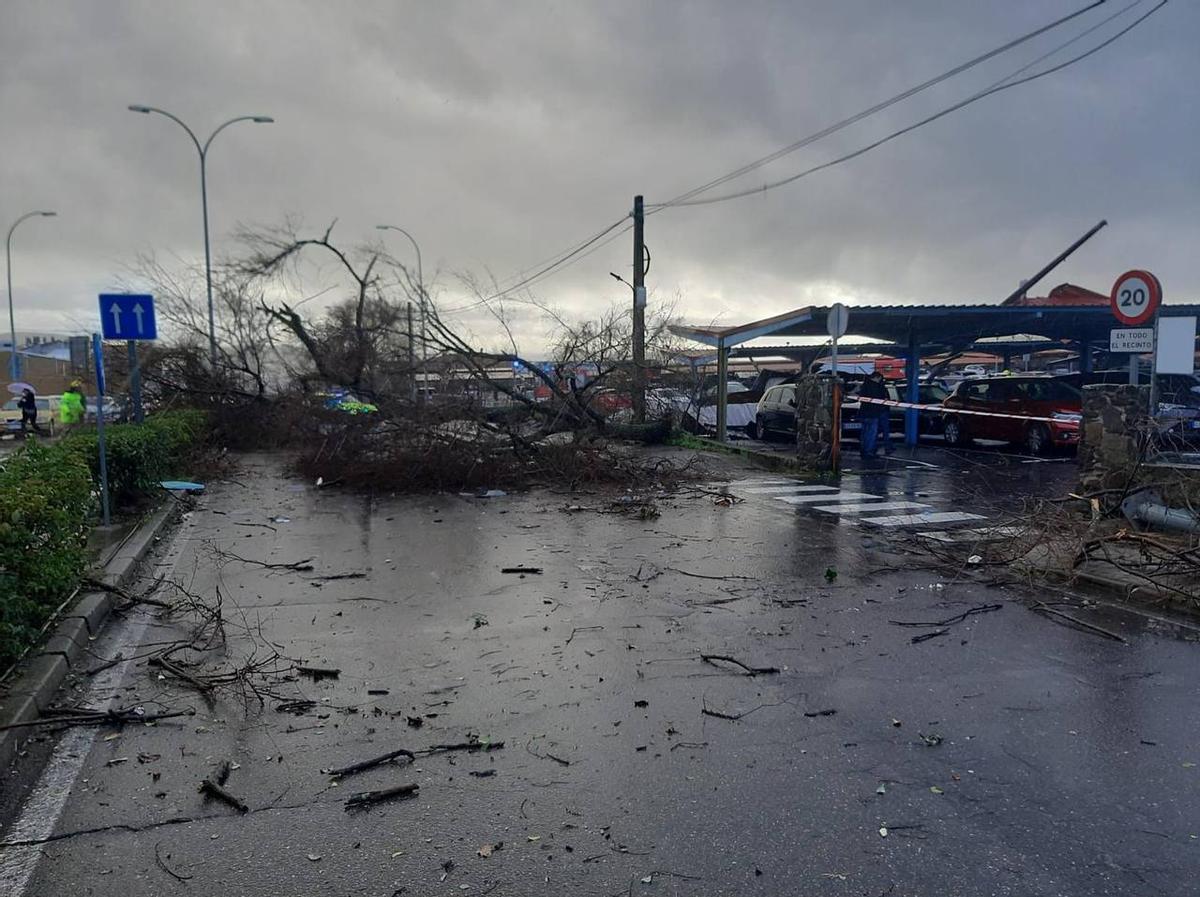 Fotogalería | Un tornado provoca destrozos en Plasencia Fotogalería | Un tornado provoca destrozos en Plasencia