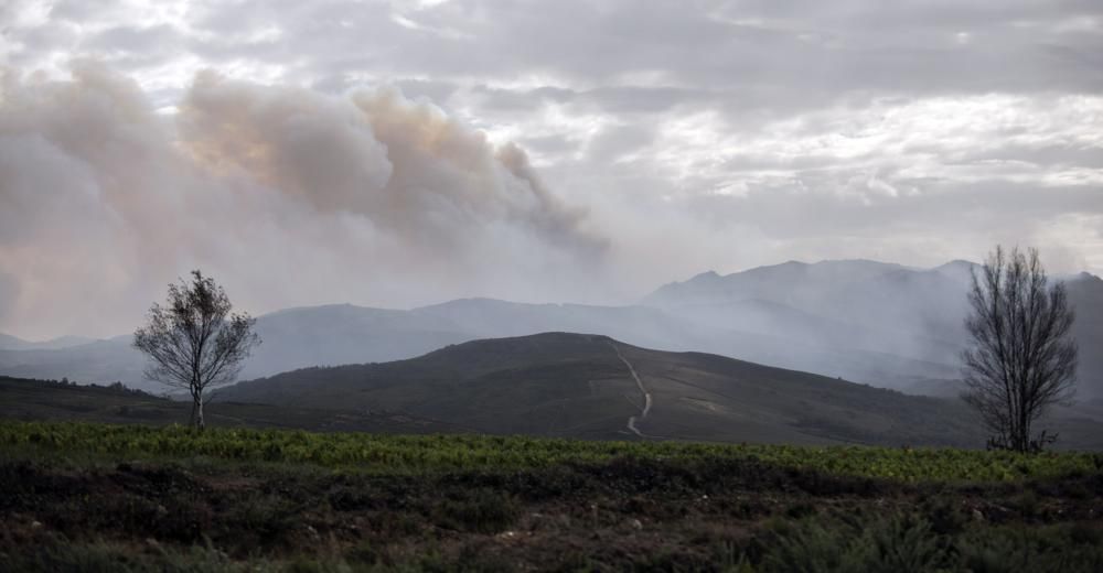 Incendios en Galicia | Fuegos en Ourense