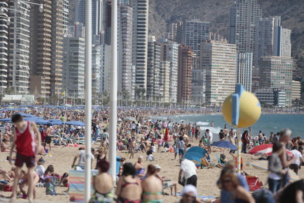 Las playas de Benidorm, llenas de turistas