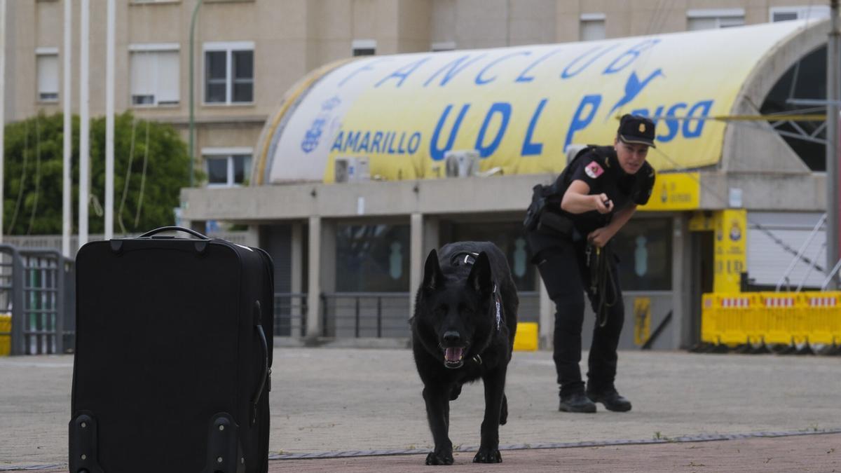 Agentes de la Policía Nacional a cargo de la seguridad del Papa, en el Estadio de Gran Canaria