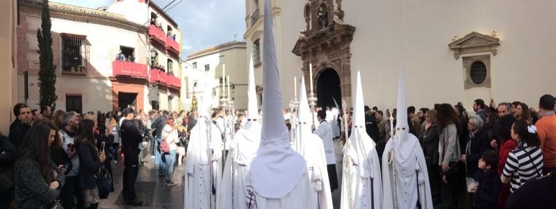 Domingo de Ramos de 2016 | Salutación