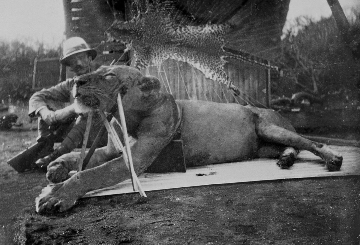 El coronel Patterson posa con uno de los dos leones cazados en Tsavo.