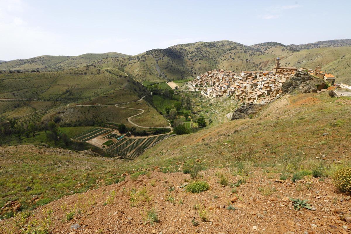 En imágenes | Así está Ateca un año después del incendio forestal que afectó a 14.000 hectáreas En imágenes | Así está Ateca un año después del incendio forestal que afectó a 14.000 hectáreas