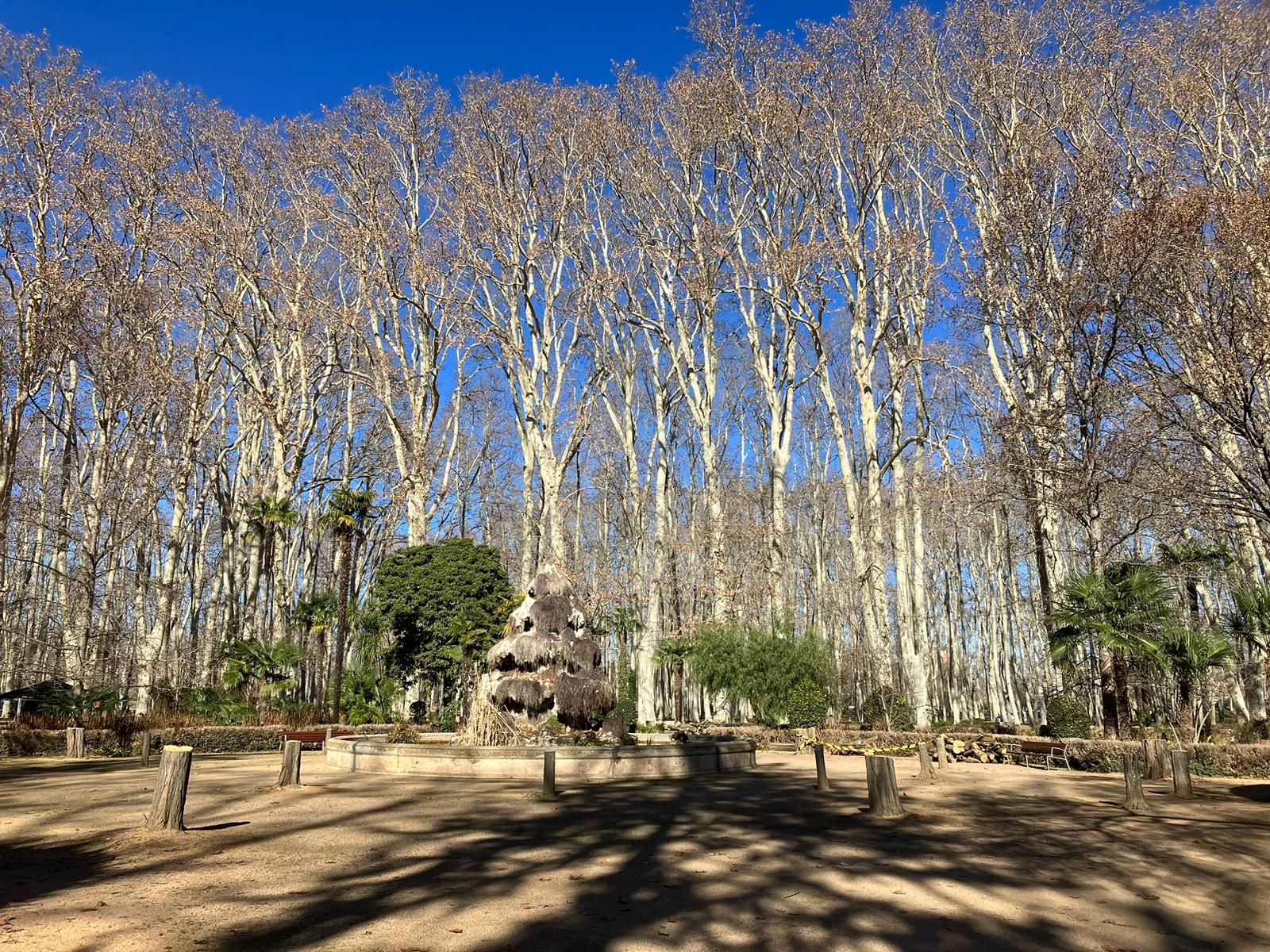 Talen divuit arbres dels jardins de la Devesa que s’havien fragmentat per dins