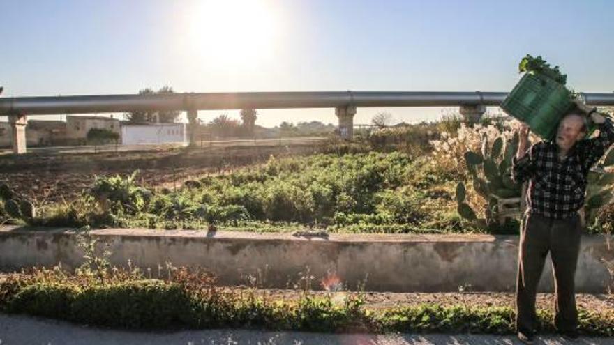 Regantes de Almoradí tachan de «fariseos» a los agricultores que venden el agua del Segura