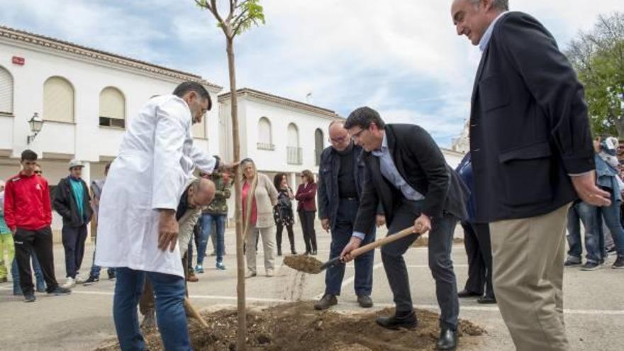 Jorge Rodríguez, pala en mano, en la plantación de cuatro árboles en el interior de la escuela.